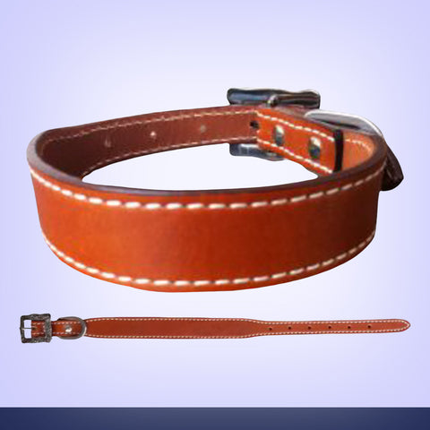 Brown leather dog collar with metal buckle on a light purple background